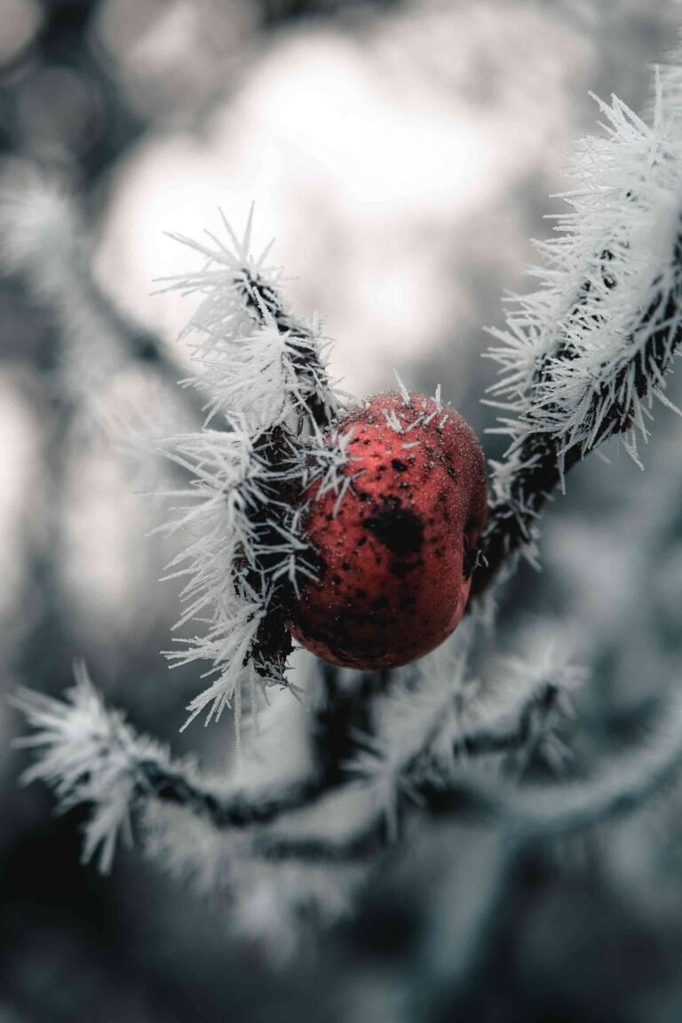 Warmer weather wreaks havoc with hay fever symptoms as tree pollen spikes, new researches